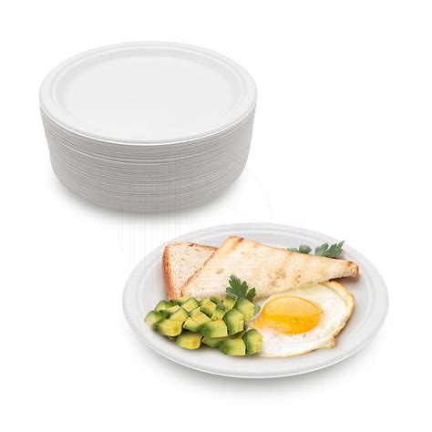 OrienTreeN 100 Compostable 10 Inch Bagasse Paper Plates 125 Counts