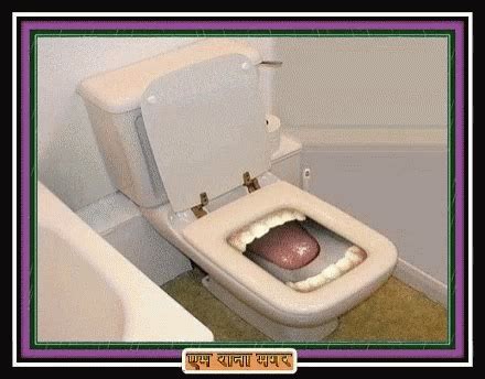 Full Toilet Full Toilet Toilet Bowl Discover Share GIFs