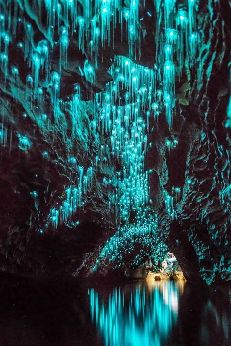 Waitomo Caves, New Zealand. - BCIT Mechanical