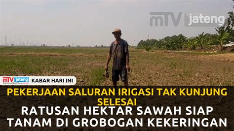 Pekerjaan Saluran Irigasi Tak Kunjung Selesai Ratusan Hektar Sawah