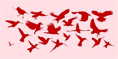 Red set bird silhouette 17606636 Vector Art at Vecteezy