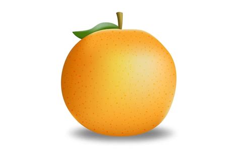 Ilustração vetorial grátis de fruta laranja Vetor Premium