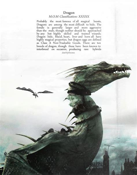 1000+ images about Dragon Quotes on Pinterest | The sky, Gothic and Woman face