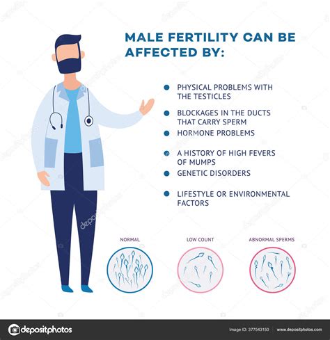 In Vitro Fertilization Infographic Chart In Flat Style Scheme Of