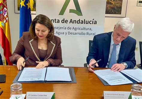 Andalucía líder en el ránking nacional de contratación de seguros