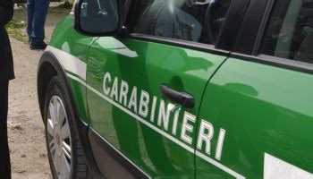 Caivano Carabinieri Forestali Trovano Rifiuti Pericolosi Nei Pressi