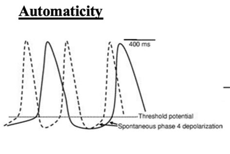 Introduction Arrhythmias I Flashcards Quizlet