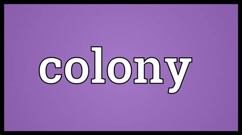 Types Of Colony Definition Examples Video Lesson Transcript, 57% OFF