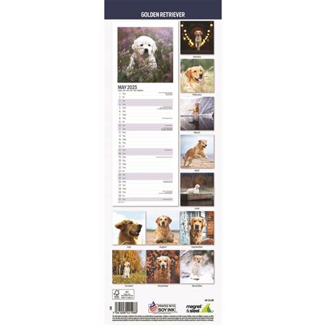 Golden Retriever Kalender Slimline Kopen Bestel Eenvoudig Online