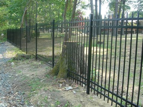 72 Inch High 4 Rail Aluminum Fence Custom Cut Around Existing Stump