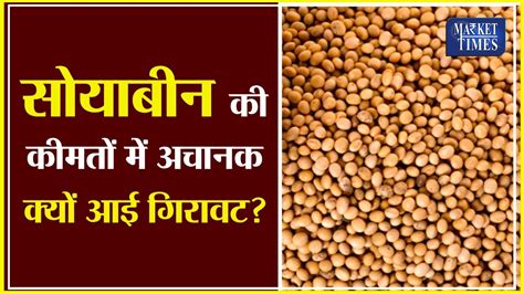 सोयाबीन में अचानक बनी गिरावट क्या फिर बनेगी तेजी Soyabean