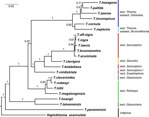 Bayesian Tree Inferred From Five Locus Concatenated Alignment