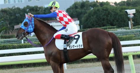 2024 1 30（火）競馬予想結果｜jra・競馬予想