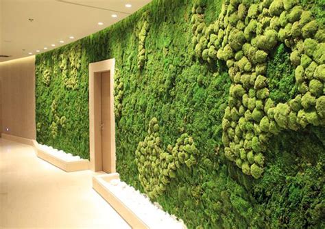 Мох для декора стен - 33 фото