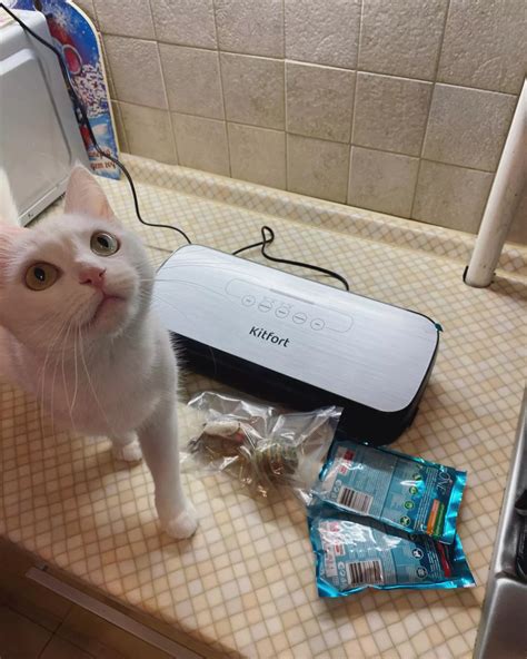 Вакууматор для продуктов Kitfort КТ-1502-1, белый купить по цене 6 990 ...