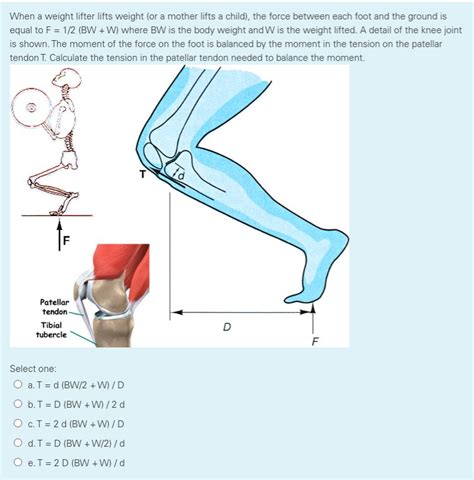 Solved When A Weight Lifter Lifts Weight Or A Mother Lifts Chegg