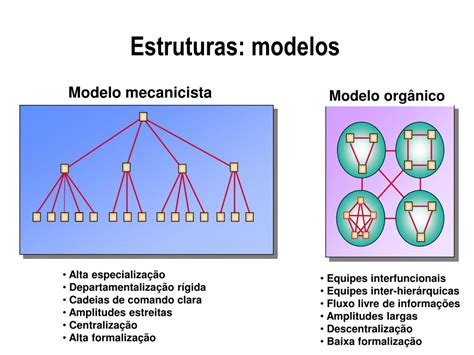 As Estruturas Organizacionais Podem Diferir Entre As Organizações