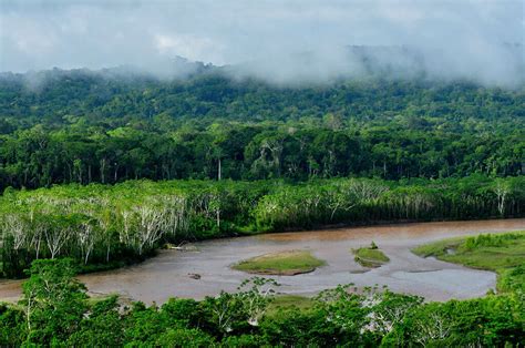 Madidi National Park: Bolivia's Biodiversity Oasis | LAC Geo