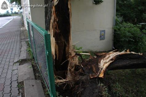 Skutki nawałnic w powiecie mogileńskim ZDJĘCIA Bydgoszcz Nasze Miasto