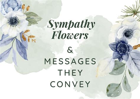 Sympathy Flowers and the Messages They Convey | Alta Vista Flowers