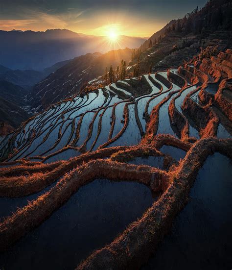 Terraces Of China Pyrography By Max Rive Fine Art America