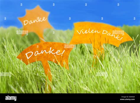 Uncover The Secret Of German Etiquette What Vielen Dank Really Means And How To Use It