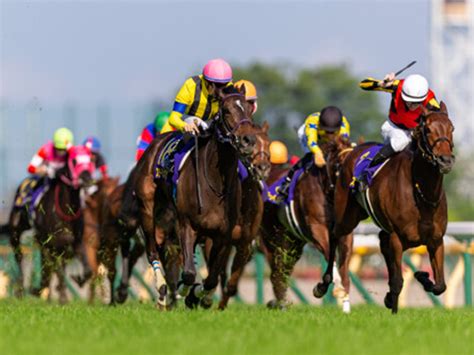 Jra大阪杯―オルフェーヴル、キズナ、キタサンブラックら名馬が勝利したレースに異変！ 今年の2冠牝馬スターズオンアースに危険信号かｰ