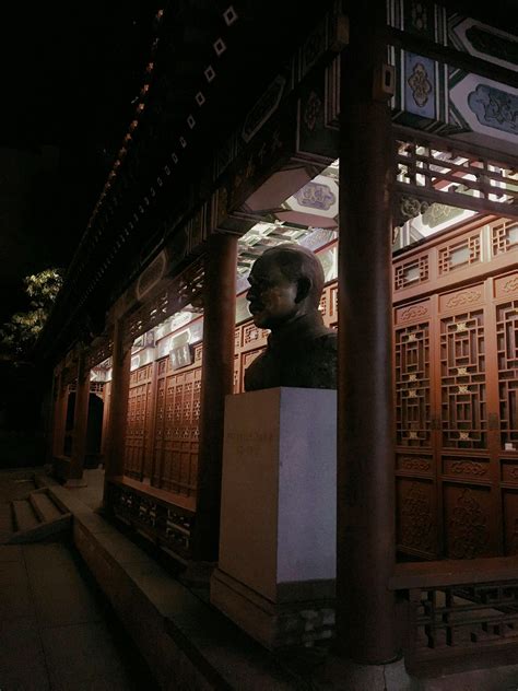 hoa sen      hoa sen stock  hd images