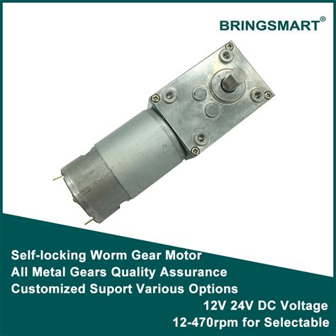 Bringsmart V Worm Geared Motor A Sw V High Torque Motor