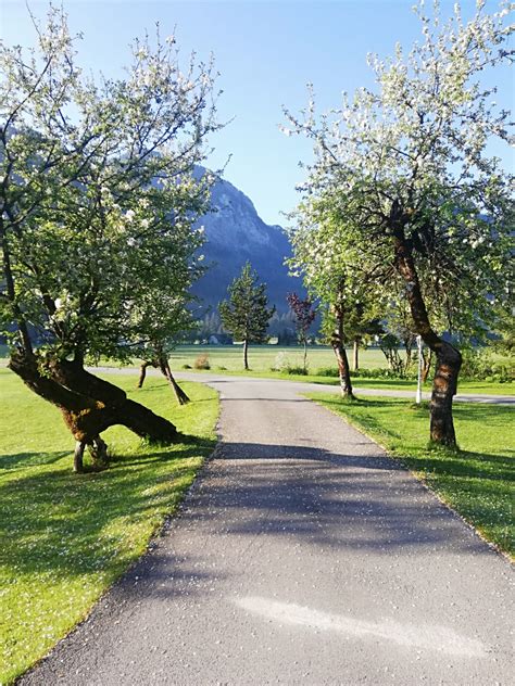 How to Reach Lindner Family Tennis Center by Public Transport 25