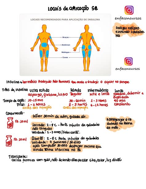 Locais De Aplica O De Insulina Enfermagem Braincp