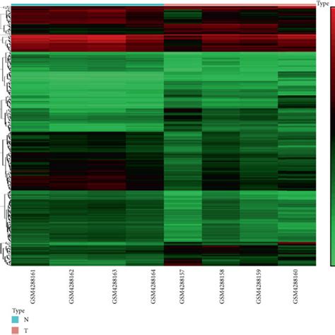 Hierarchical Clustering And Heat Map Analysis Of Differentially Download Scientific Diagram