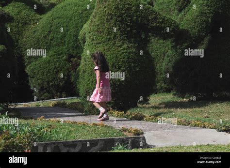 Fille Qui Marche Dans Le Parc Avec Des Buissons Taill S Zaracero Costa