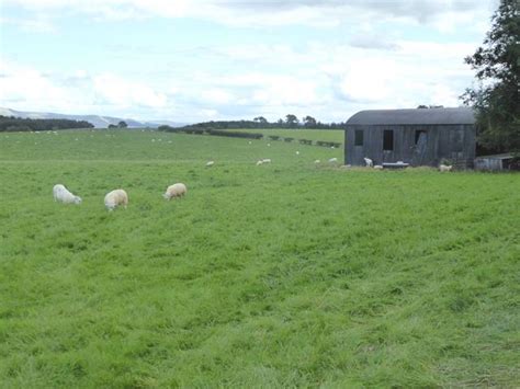 Field With Sheep And Barn © Oliver Dixon Geograph Britain And Ireland