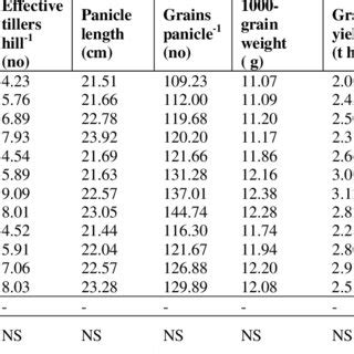 Interaction Effect Of Variety And Spacing On Yield And Yield