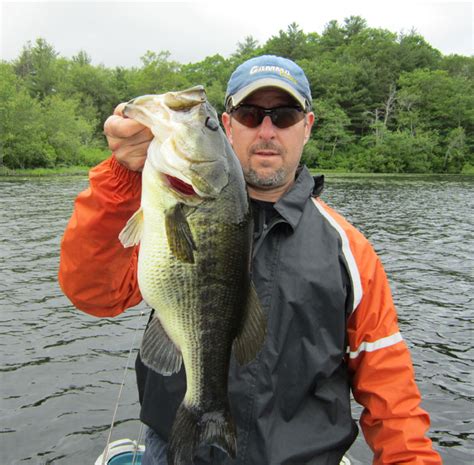 Custom Baits - Forum - ff