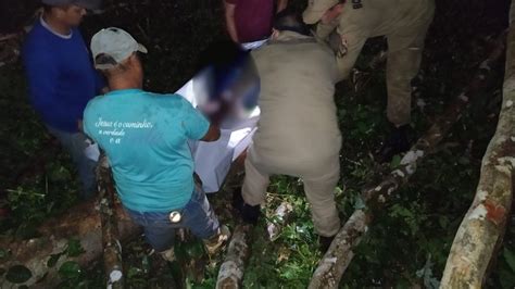 Trabalhador rural morre esmagado por árvore durante derrubada no