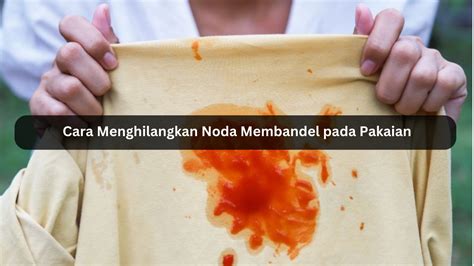 Cara Menghilangkan Noda Membandel Pada Pakaian Tersebar