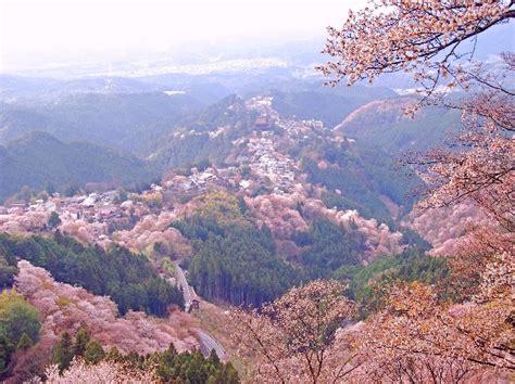 Yoshino-Kumano National Park_Guide of Highlights [MOE]