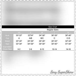 Sexy SuperShero Intimates Sleepwear Flirtatious Embroidered Ruched Lingerie Set Poshmark