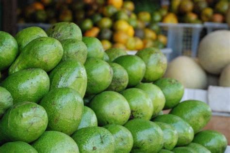 Komoditas Buah Yang Diperkirakan Memiliki Peluang Bisnis Besar Trubus