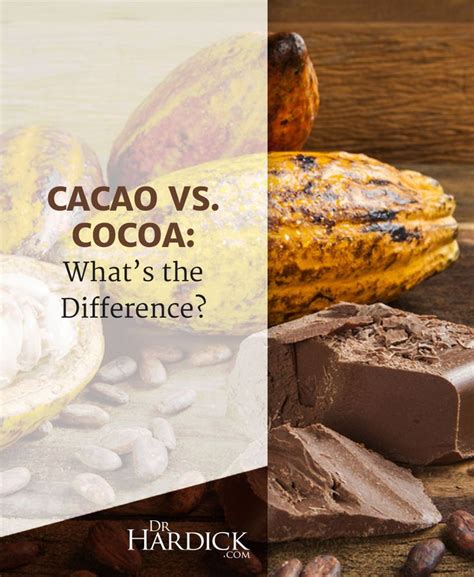 Cacao Vs Cocoa Whats The Difference DrHardick Cacao Cocoa Vs