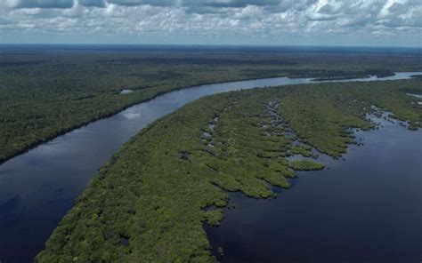 Un Sommet R Gional Pour Lutter Contre La D Forestation Et Sauver L