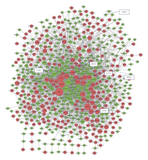 The Protein Protein Interaction Ppi Network Of Differentially