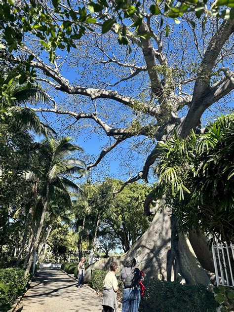 Une Journée De Flânerie à West Palm Beach Avenuesca