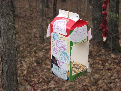 Milk Carton Bird Feeder - Bird FeedersBird Feeders