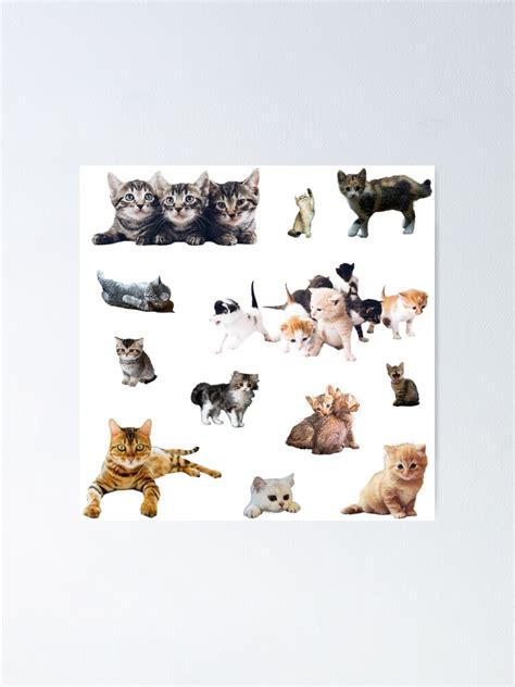 Cute Cat Kitten Pattern Sticker Pack Poster For Sale By Netza Redbubble