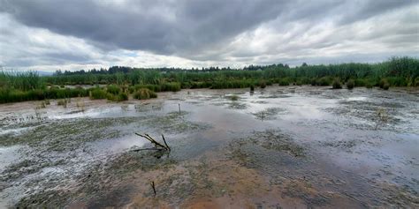 Columbia River Estuary Conference 2020 - 28 APR 2020