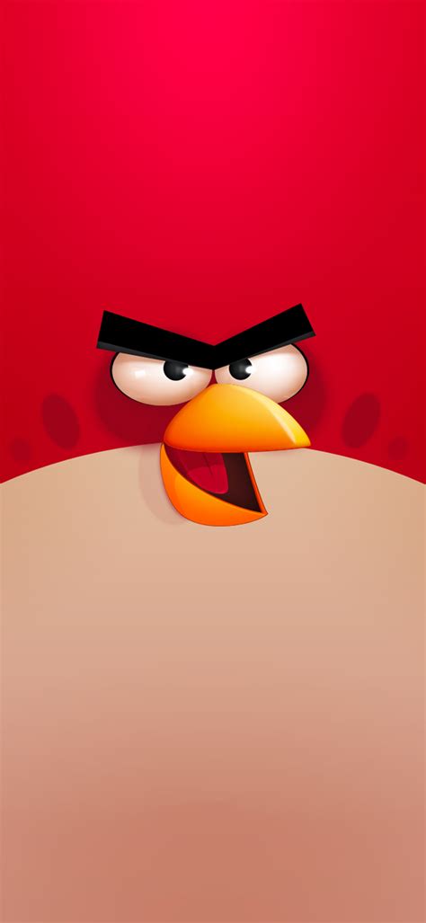 Red Angry Birds - BigToons - Wallpapers Central