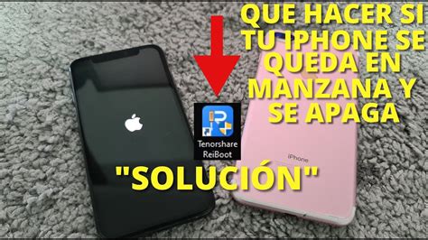 Qu Hacer Si Tu Iphone Se Queda En La Manzana Iphone Se Apaga Y No